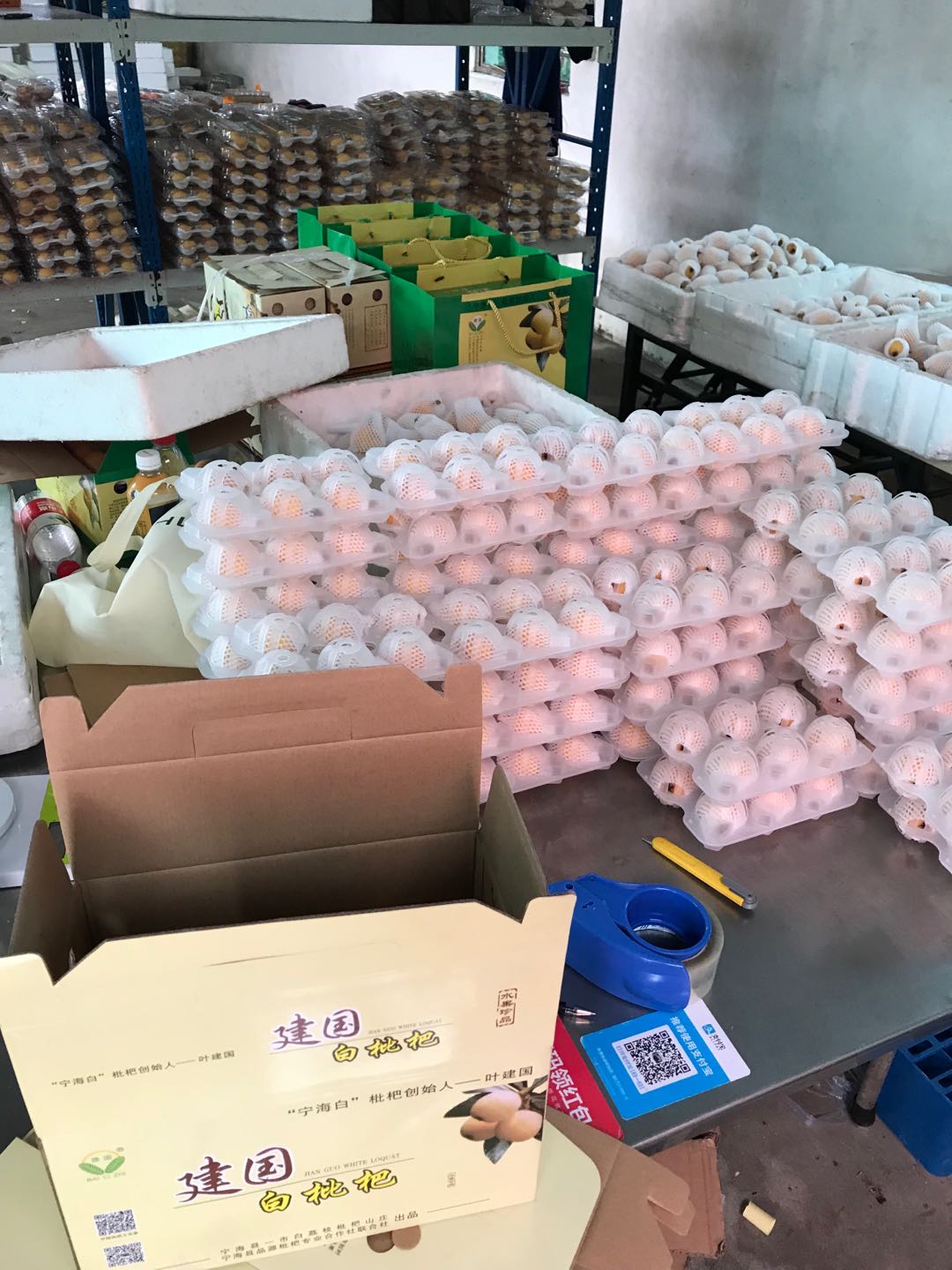 寧海白枇杷 當(dāng)季鮮果，獨(dú)特風(fēng)味，盡享初夏清甜