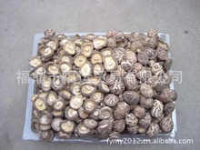 福鼎食用菌產(chǎn)業(yè) 阿里巴巴平臺(tái)上的優(yōu)質(zhì)批發(fā)與供應(yīng)樞紐