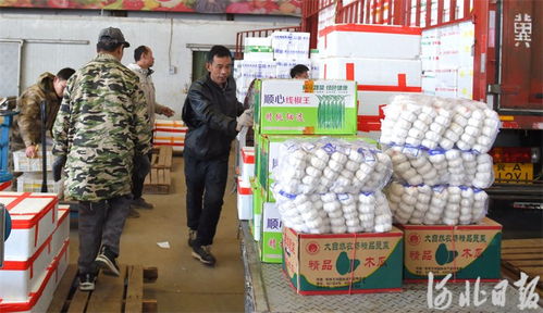 河北邢臺(tái) 筑牢節(jié)日市場(chǎng)供應(yīng)防線，守護(hù)食用農(nóng)產(chǎn)品批發(fā)安全